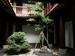 -禅驿嘉定院子-禅欢江景餐厅·中餐·户外烧烤定制(乐山大佛店)