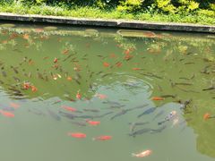 -宁波市保国寺古建筑博物馆