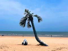 -日照海滨国家森林公园