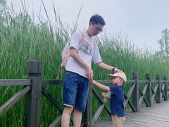 -溱湖国家湿地公园