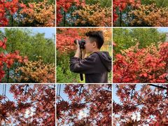 -铁山坪森林公园