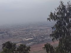 -神光山国家森林公园