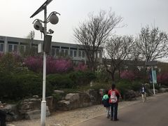 -济南国际园博园