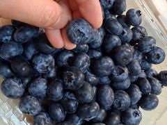 -春润大地海南椰子鸡(沙井京基百纳广场店)