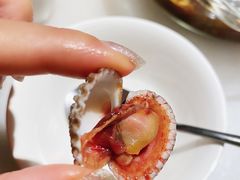 血蛤-华盛丰温州大排档(东三环南路店)