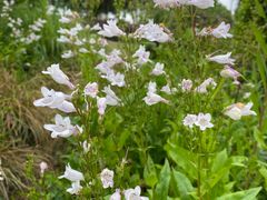 -九里河湿地公园