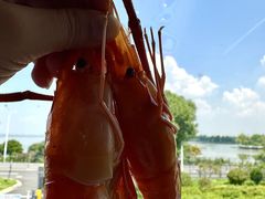 -蟹天蟹地农家菜·阳澄湖大闸蟹(浅水湾店)