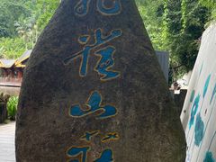 -西双版纳原始森林公园