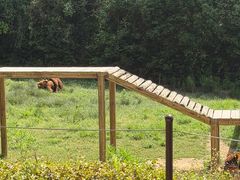 -杭州野生动物世界