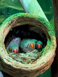 -Zoolung Zoolung动物主题公园(海信广场店)