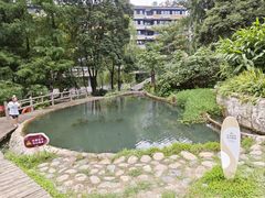 -成都市活水公园