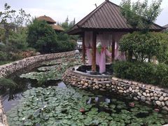 -观唐（国际）度假村温泉
