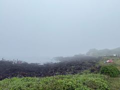 -涉地可支