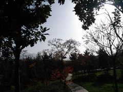 -洨河生态公园