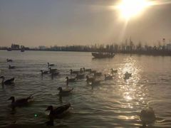 -艾溪湖湿地公园