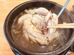 药汤参鸡汤-高社长参鸡汤(高丽街店)