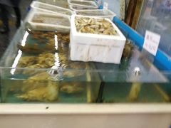 水产区-天津乾毓德饭庄·清真传统炒菜·海鲜烧烤(咸阳路店)