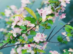 -北山街历史文化街区