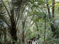 -七仙岭温泉国家森林公园