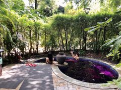 -台山颐和温泉城