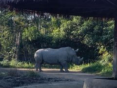 -宁波野生动物园