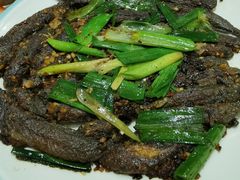 -阿四台山黄鳝饭(东门店)