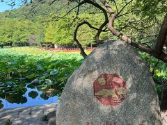 -八卦田遗址公园