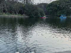 -上海共青森林公园