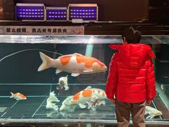 -北京海德酒店温泉