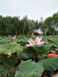 -剑鱼皮划艇俱乐部(石湖基地)