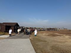 -盐城丹顶鹤湿地生态旅游区