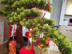 -马家斑.鲜鱼火锅(松湖万科店)