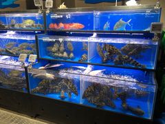 水产区-盒马鲜生(双清路店)