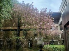 -西安凯悦酒店·湖畔中餐厅