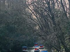 -上海滨江森林公园