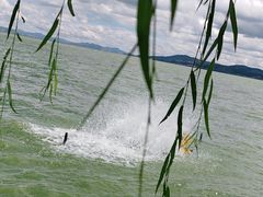 -滇池海埂公园