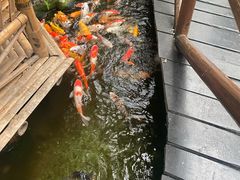 -上海大自然野生昆虫馆(东方明珠·爬宠昆虫探索中心)