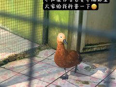 -荆州中山公园动物园