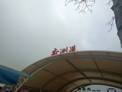 -香洲港码头