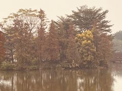 -海珠湖公园