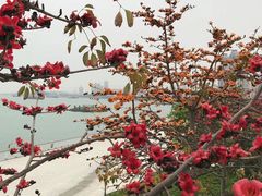 -海沧湾公园