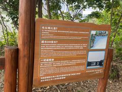 -华侨城湿地公园