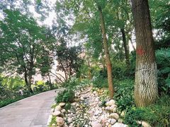 -成都市活水公园