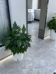 -悟空祛痘·诺奖技术专业店