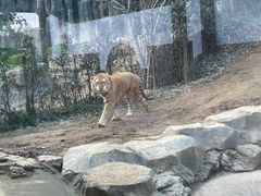 -杭州野生动物世界