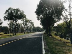 -漕湖湿地公园