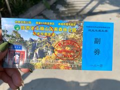 -王顺山国家森林公园