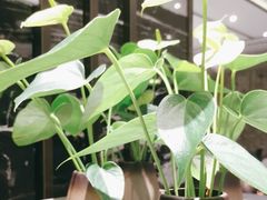 -眉州东坡(清河万象汇店)