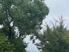 -一叶觅山(半边街店)