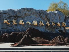 -北京西山国家森林公园